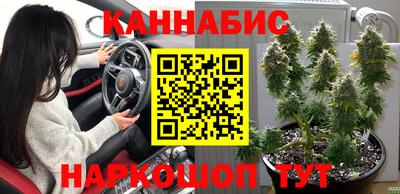 эйфоретик Будённовск