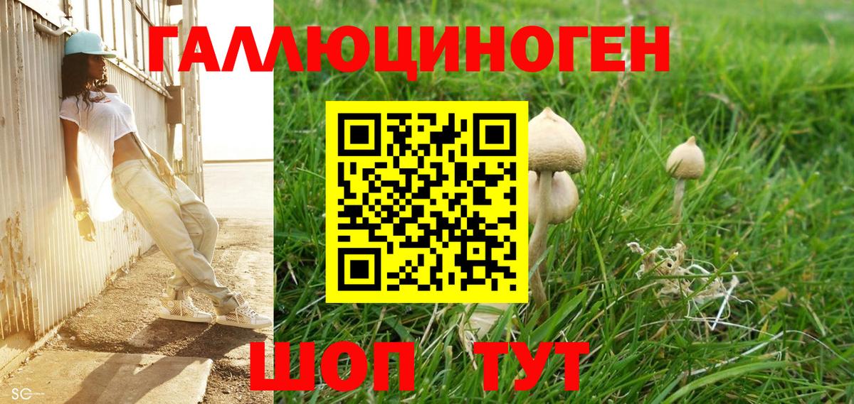 Псилоцибиновые грибы Magic Shrooms  Вход с VPN  Сургут 