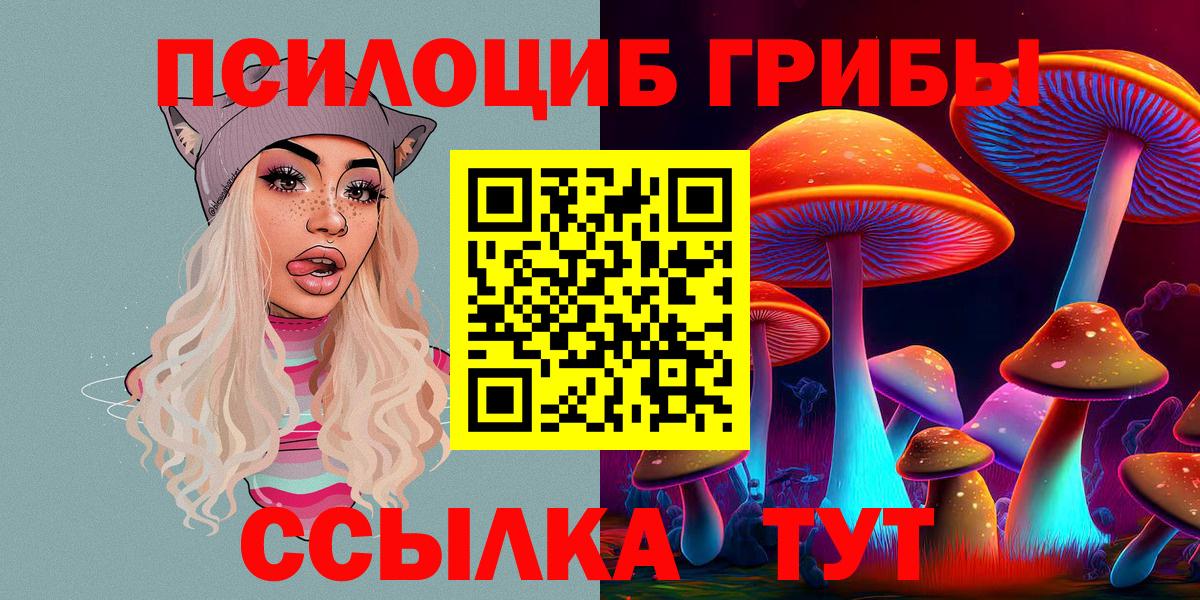 Галлюциногенные грибы прущие грибы Сургут