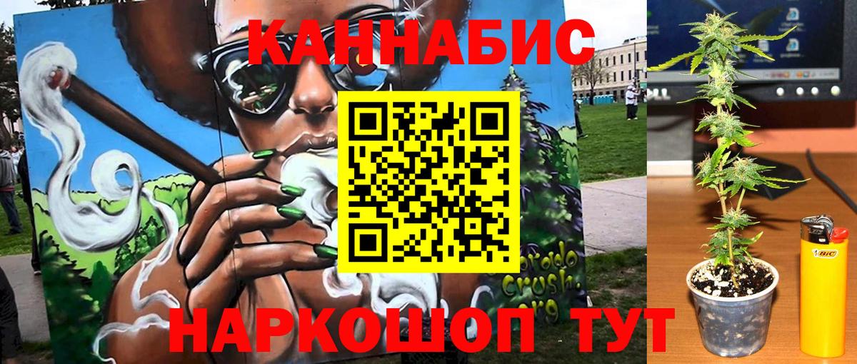 Канабис семена  Бошки марихуана тримм  Каннабис MAZAR  Вход с VPN  Сургут 